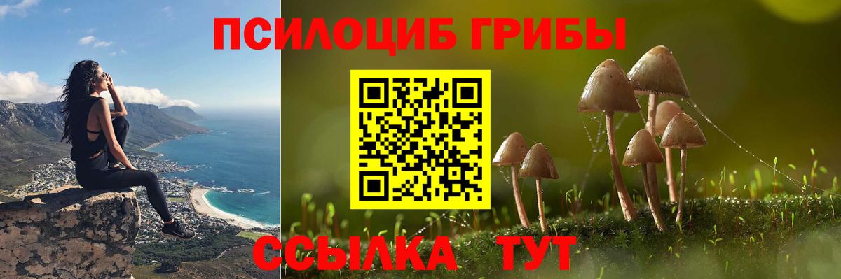 Псилоцибиновые грибы Psilocybine cubensis Прохладный